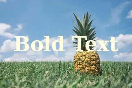 Bold font weight