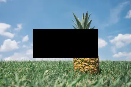 Single rectangle
