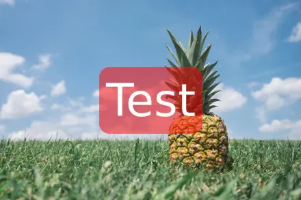 Text with rounded background