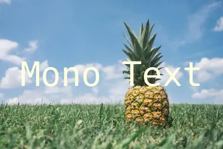 Monospace font family