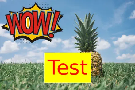 Text and overlay