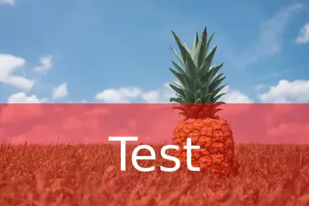 Text on background